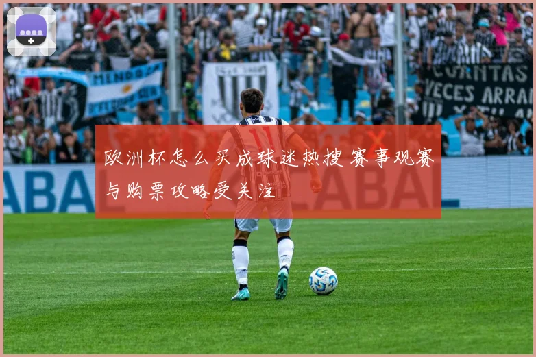 欧洲杯怎么买成球迷热搜 赛事观赛与购票攻略受关注