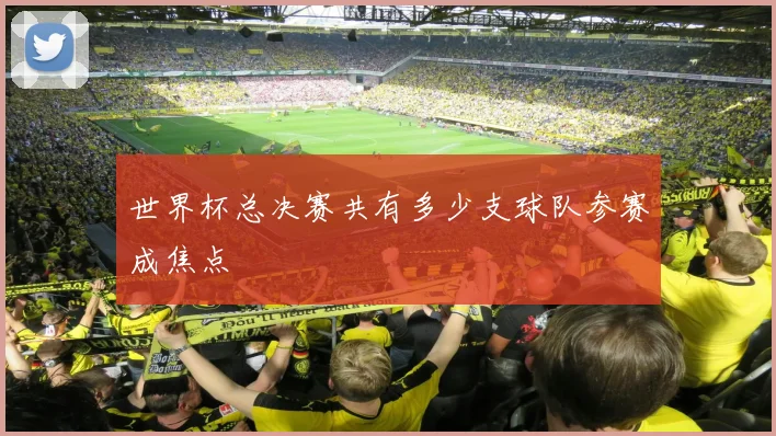 世界杯总决赛共有多少支球队参赛成焦点