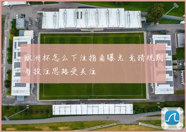 欧洲杯怎么下注指南曝光 竞猜规则与投注思路受关注