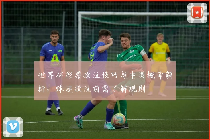 世界杯彩票投注技巧与中奖概率解析，球迷投注前需了解规则