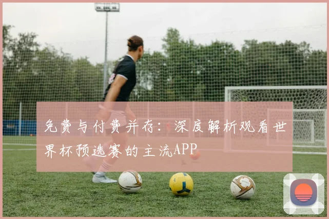 免费与付费并存：深度解析观看世界杯预选赛的主流APP