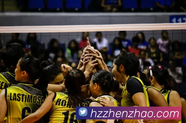 App Interface Preview